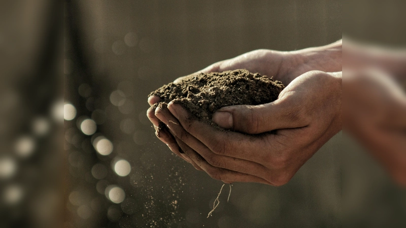 „Boden – Lebensraum und Lebensgrundlage”: das ist der Themenschwerpunkt im bosco, Bürger- und Kulturhaus Gauting. (Foto: Gabriel Jimenez)