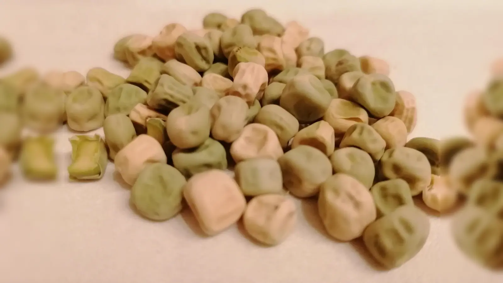 Etwa vor 10.000 Jahren begannen Menschen mit dem Anbau von Erbsen. Diese gehören damit zu den ältesten Kulturpflanzen.  (Foto: job)