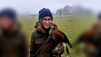 Falknerin Lisa Kustura – hier mit Wüstenbussard Enzo – ist hauptberuflich im Echinger Gemeindekindergarten tätig. Die Greifvögel irritieren die Saatkrähen, sodass sie ihre Nester anderswo bauen.  (Foto: Falcons World)