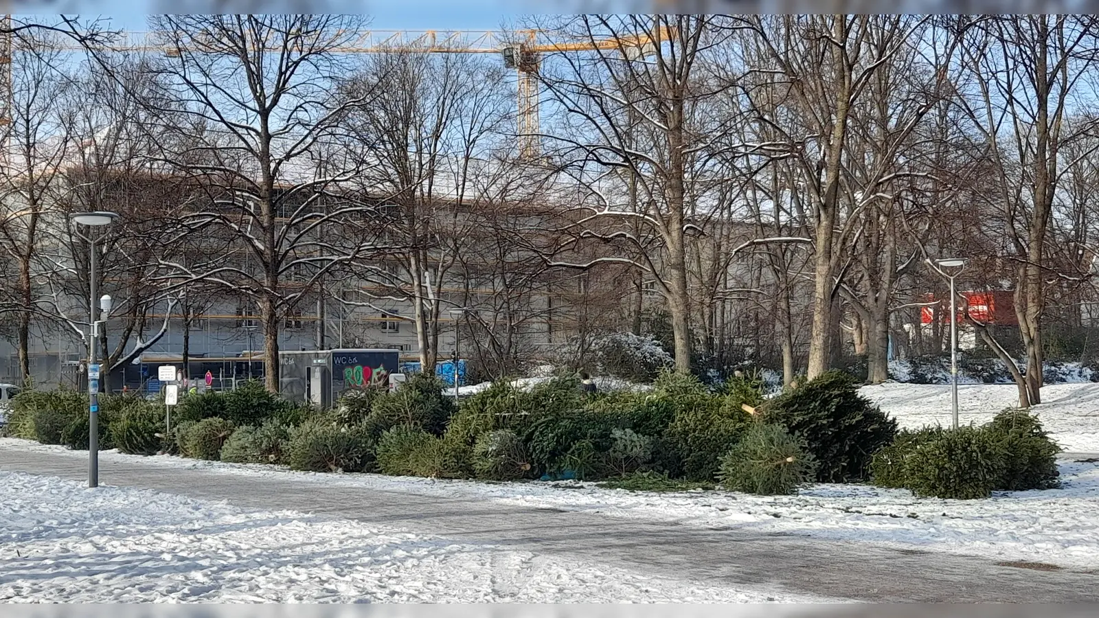 Am Georg-Freundorfer-Platz hat der Abfallwirtschaftsbetrieb (AWM) seit wenigen Jahren eine offizielle Christbaumsammelstelle eingerichtet. (Archivbild: kö)