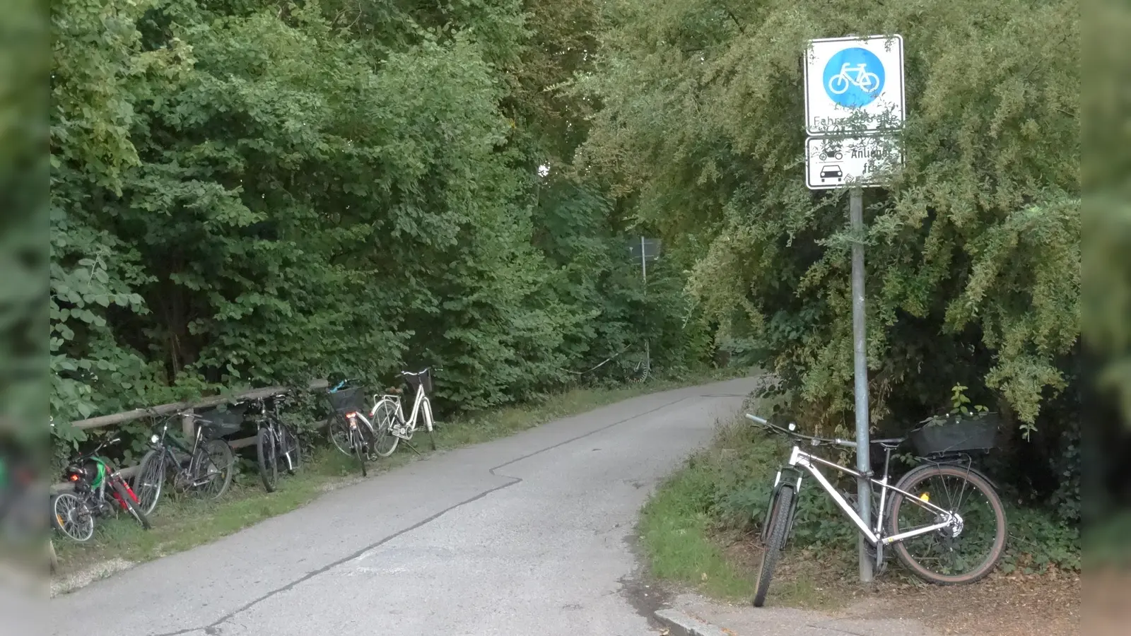 Die zur Fahrradstraße ausgewiesene Behringstraße von der Nigglstraße aus gesehen. Anlieger dürfen mit Kraftfahrzeugen rein. (Foto: tab)