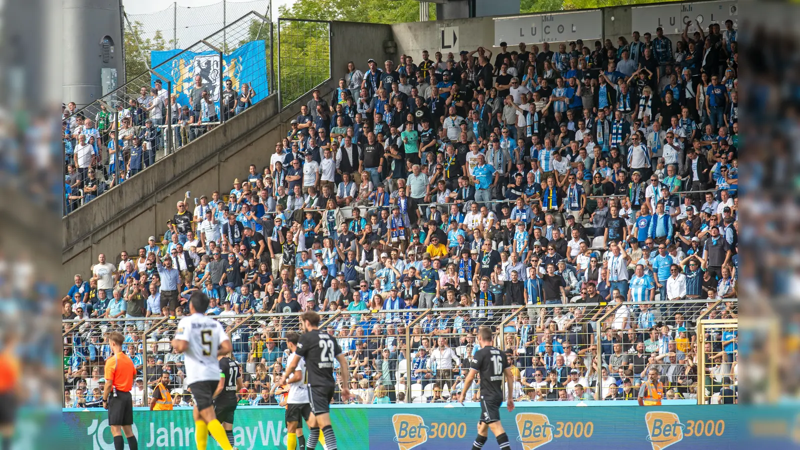 Volle Ränge: Stehhalle im Grünwalder Stadion.  (Foto: Anne Wild)