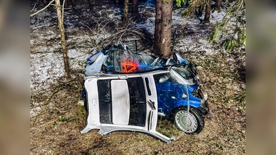 Der Smart prallte gegen einen Baum. (Foto: Kreisbrandinspektion Dachau)