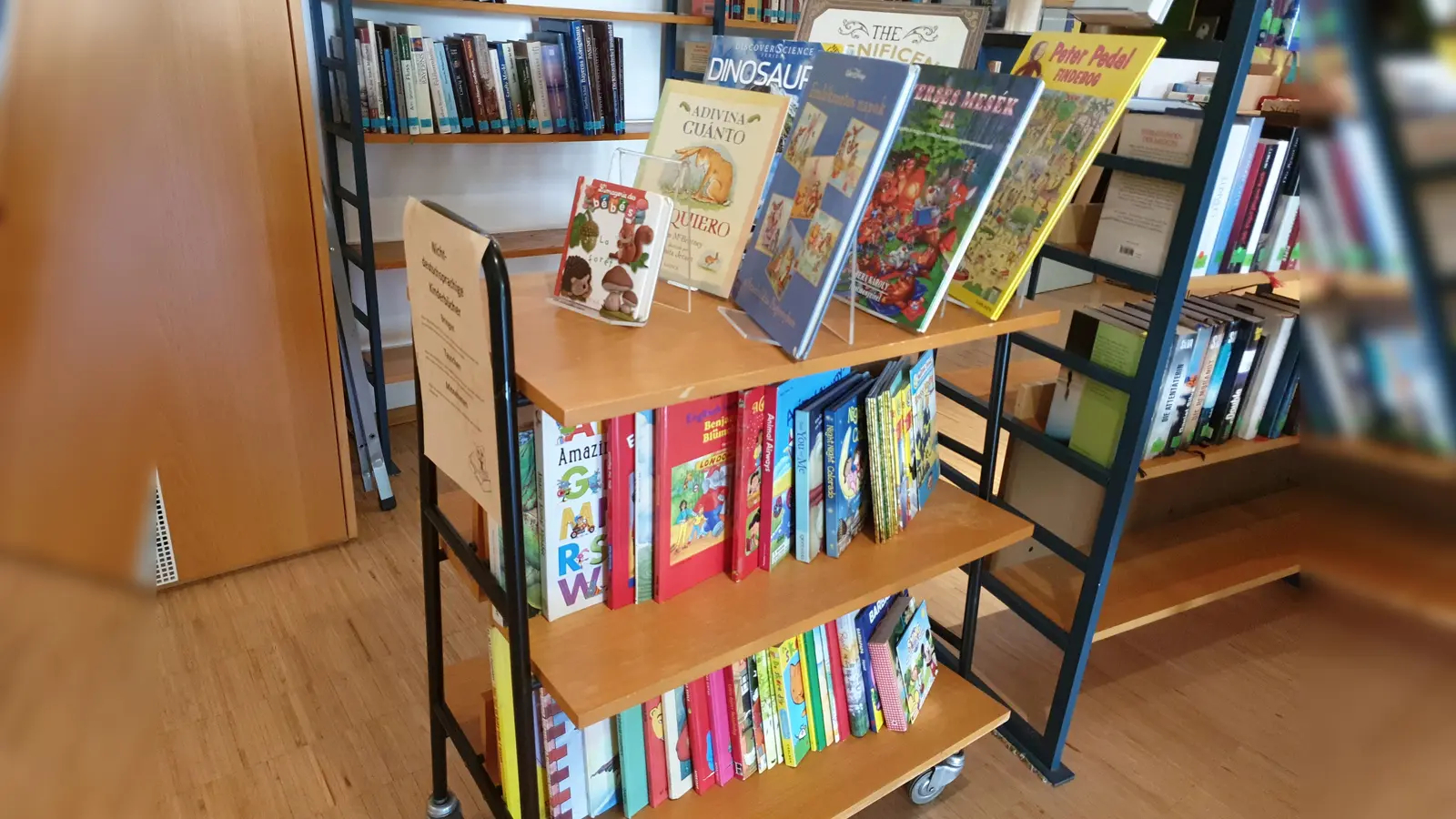 Es steht schon eine ganze Reihe Kinderbücher für das Projekt bereit. (Foto: Pfarrbücherei St. Martin)