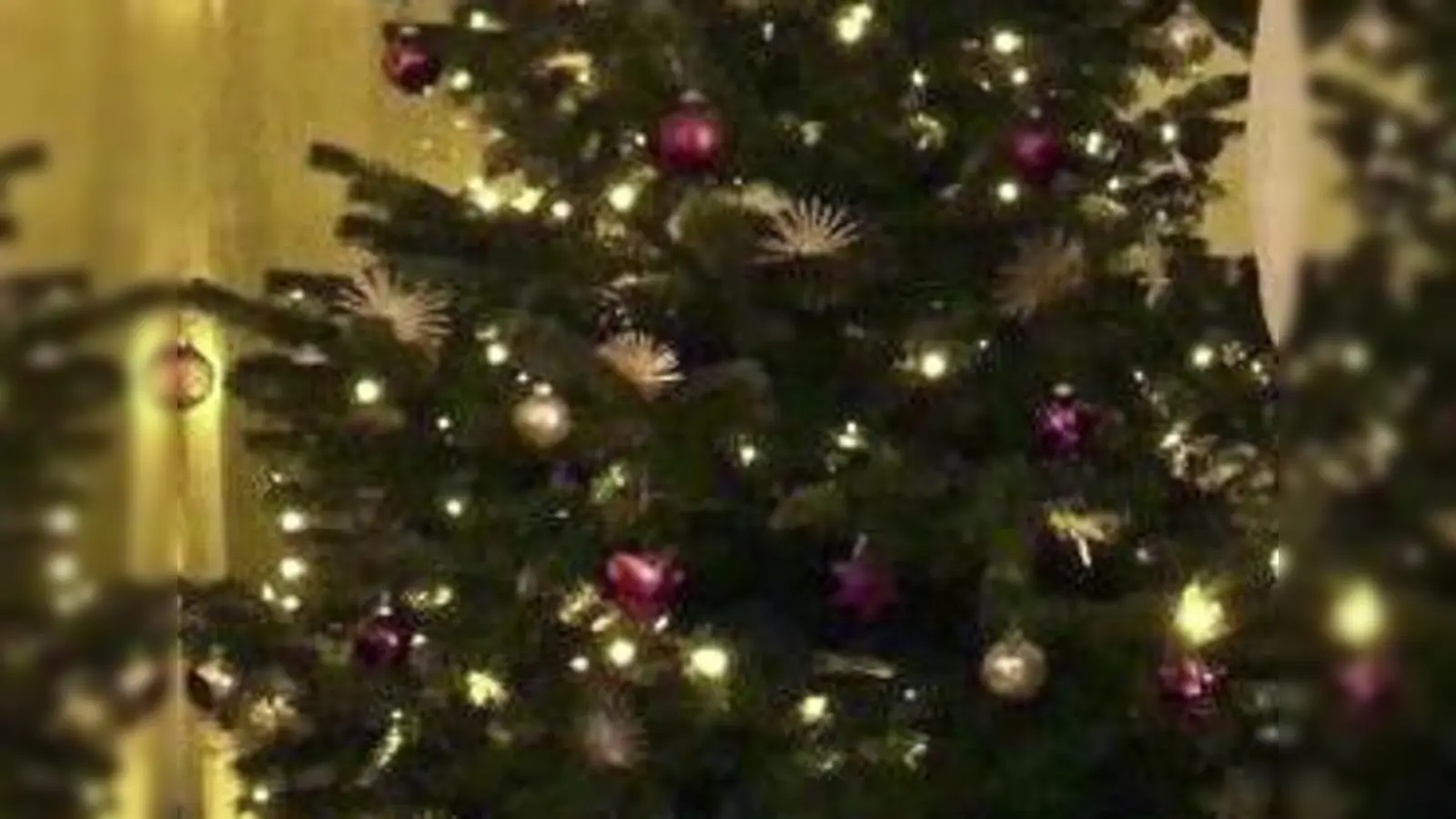 Noch strahlt er in vollem Glanze, doch bald ist die Zeit des Christbaums wieder vorbei. (Foto: privat)