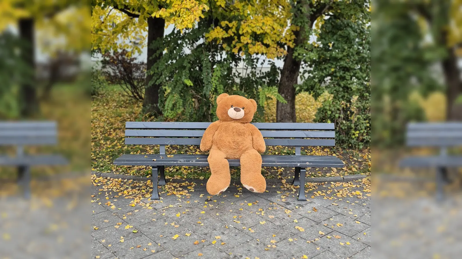 Ein Stoffbär auf der Problembank in der Manzostraße. Der gibt zwar Ruhe, aber Fakt ist, dass eine Lösung für Jugendliche gefunden werden muss. (Foto: tab)