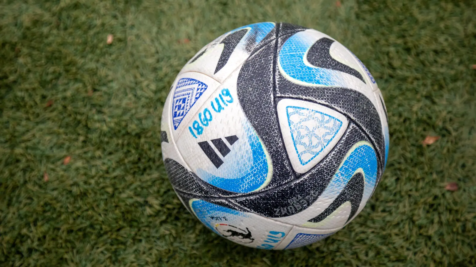 Derbysieger: U19-Junglöwen.  (Symbolbild: Anne Wild)