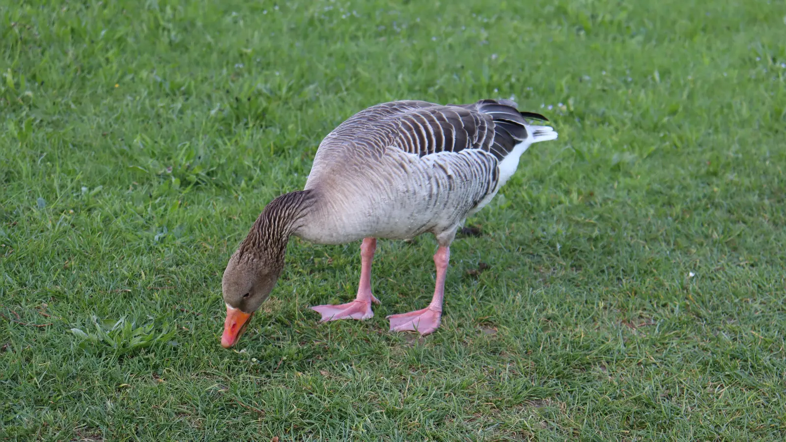 Die Natur in den Fokus nimmt der Bund Naturschutz.  (Foto: mha)