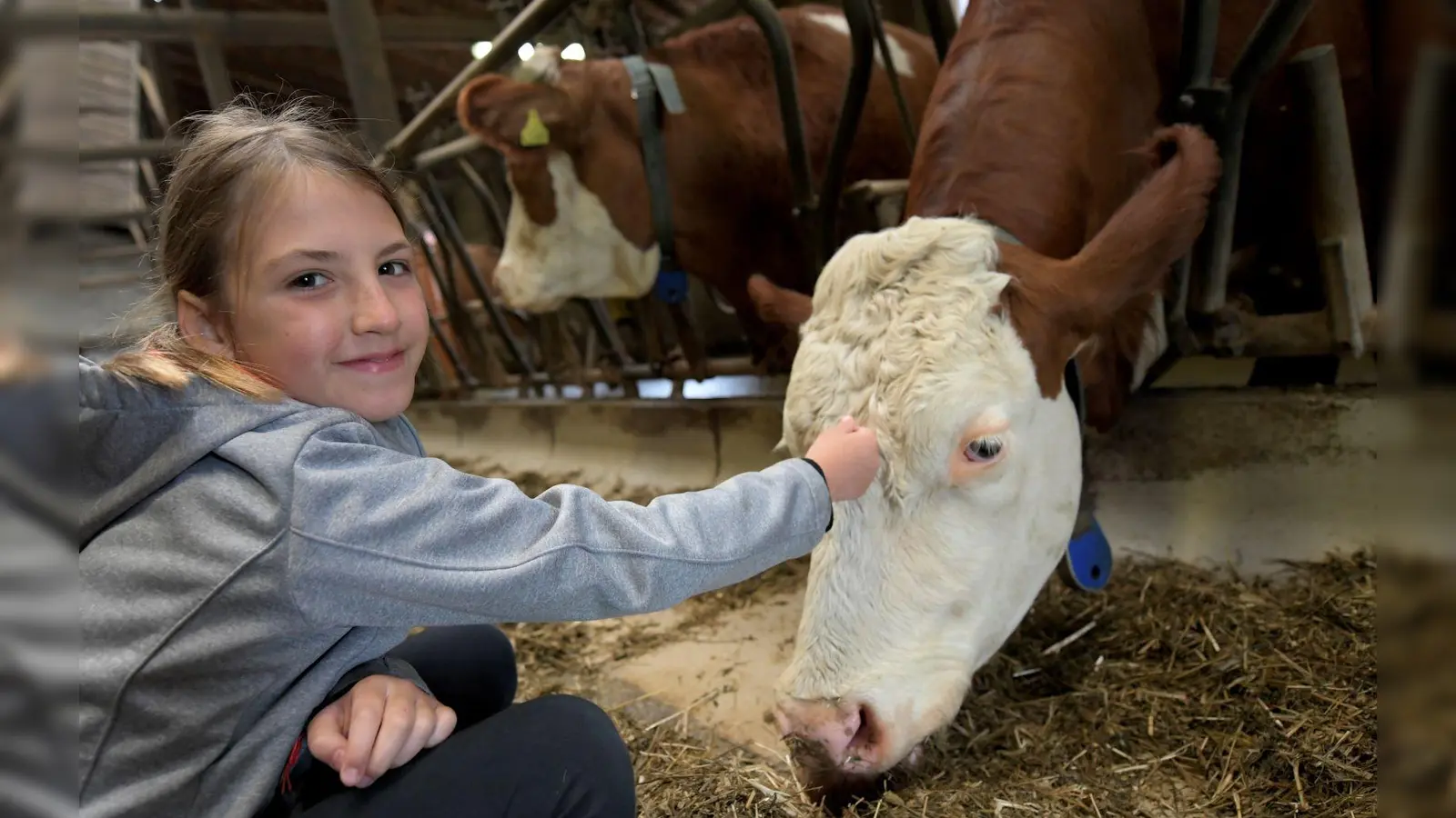 Schulklassen erleben während der Aktiv-Wochen „Frühling. Erlebnis Bauernhof“ hautnah den Alltag auf einem landwirtschaftlichen Betrieb – vom Füttern der Tiere bis zum Erkunden der Hofarbeit. (Foto: Angelika Warmuth)