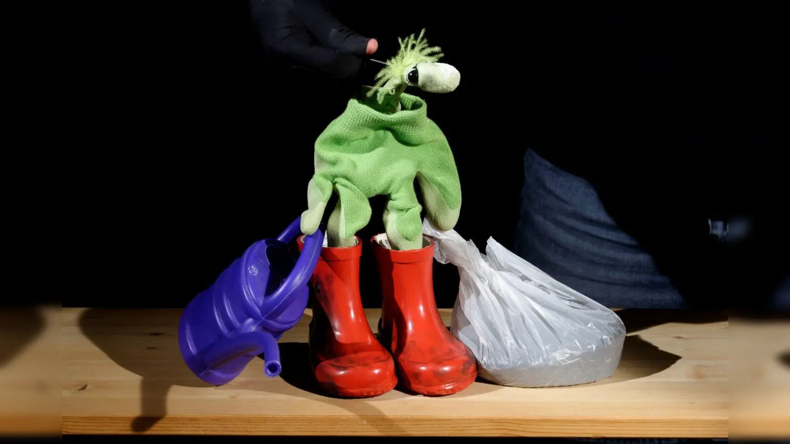 Der kleine Koriander soll in der Küche einziehen. Ob er dort wohl willkommen ist? (Foto: Werner Blauhorn)