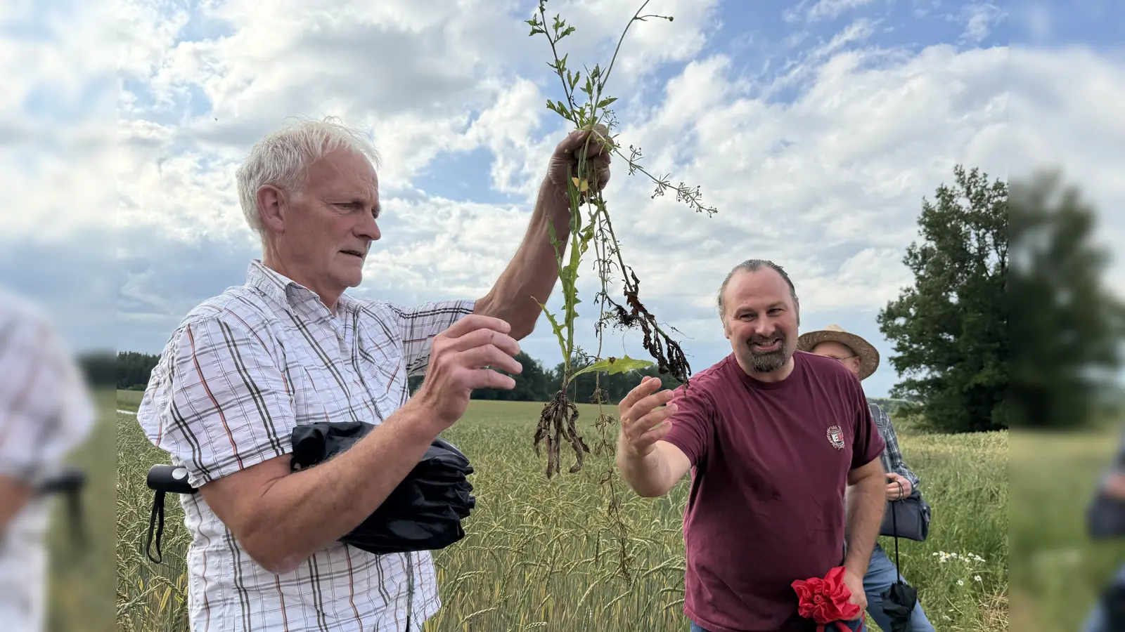 Ralf Rauber (l.) und Georg Zankl jun. mit einem Wildkraut, das sie am Feldrand gefunden haben,  (Foto: pst)