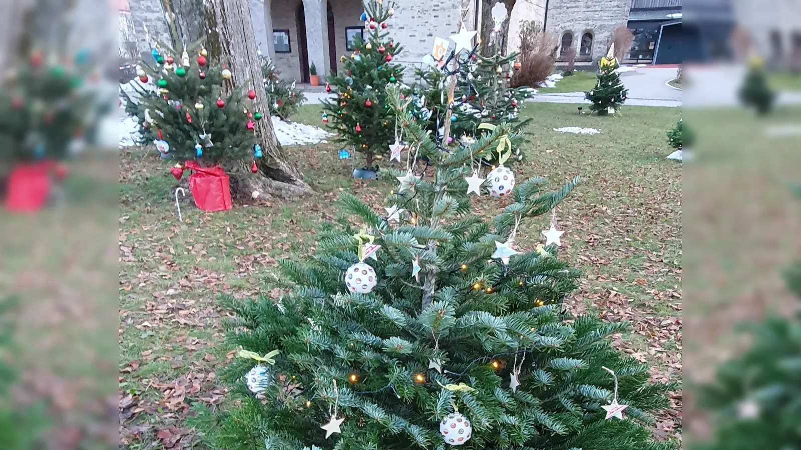 Viele Haarer Institutionen und Vereine schmückten am 2. Adventssonntag die Wiese vor der Konrad-Kirche mit Weihnachtsbäumchen. (Foto: FDP Haar)