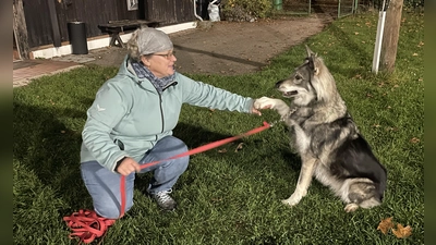 Wolfshündin Jodie gibt ihrem Frauchen Michaela brav die Pfote. (Foto: pst)