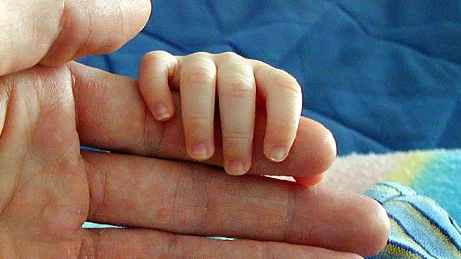 Für Babys und Kinder bis zum Alter von drei Jahren ist das Eltern-Kind-Programm des Münchner Bildungswerkes gedacht.  (Foto: job)