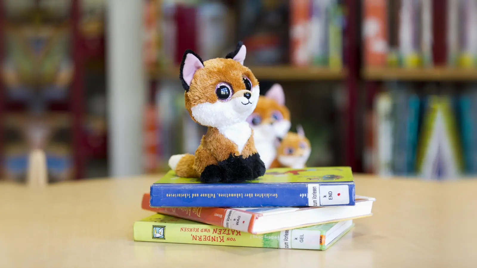 Die Lesefüchse e.V. möchten helfen, die Leselust von Jugendlichen zu fördern. (Foto: MSB)