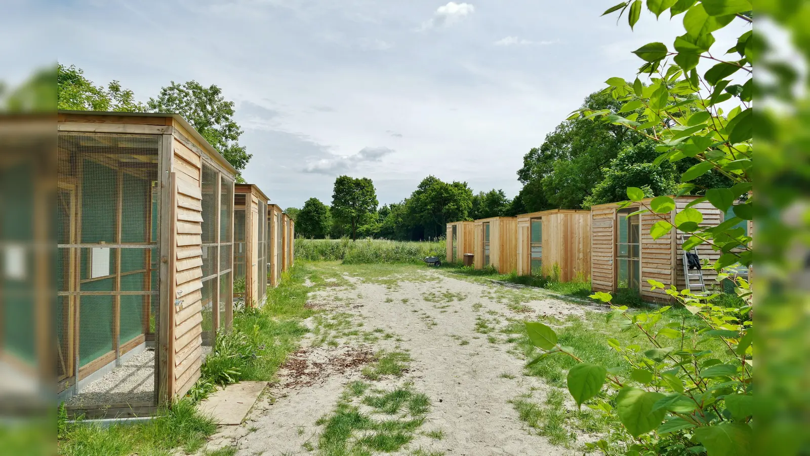 Die zehn Volieren sind nach knapp einem Jahr endlich im Einsatz. (Foto: Tierschutzverein München e.V.)