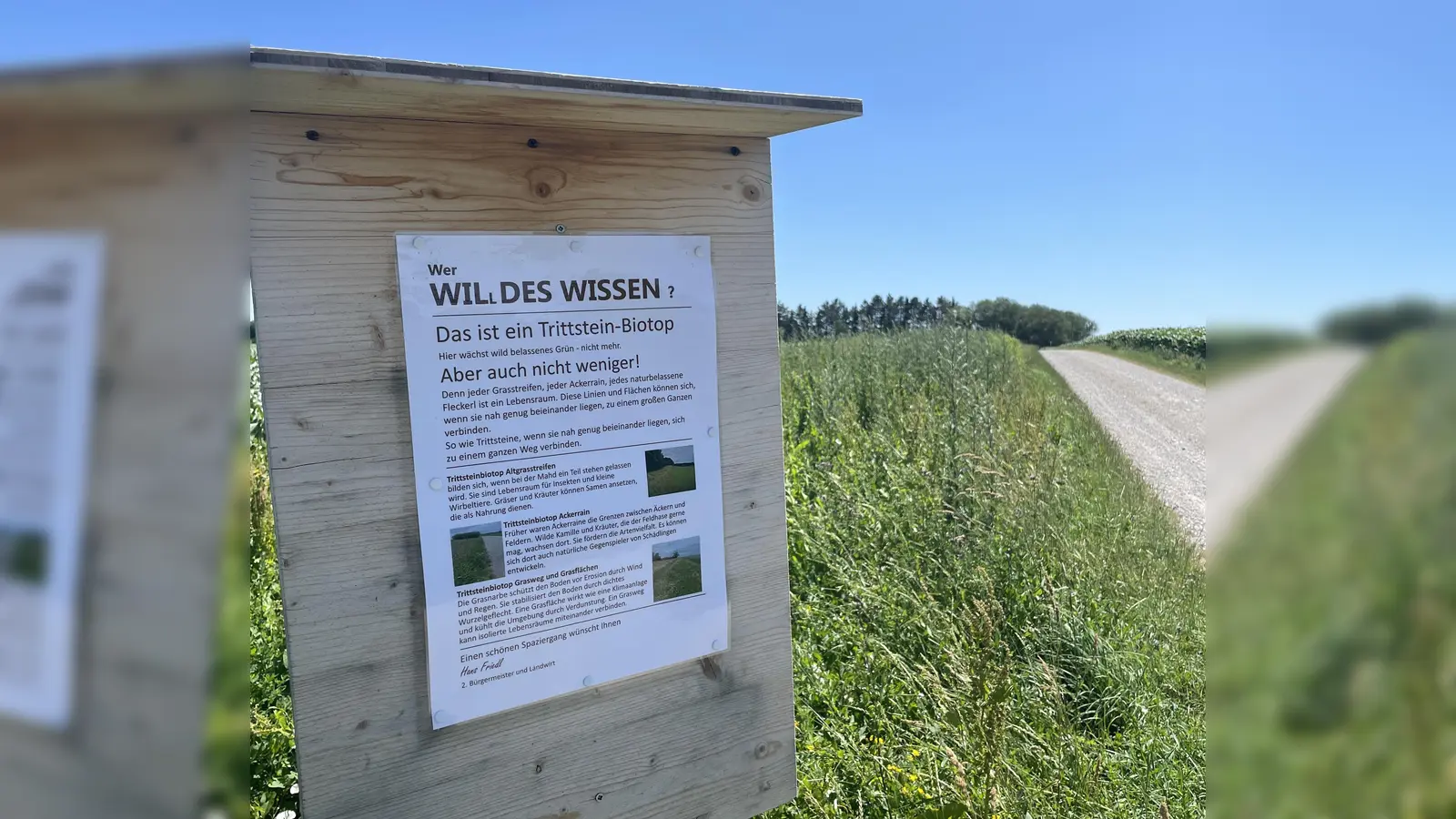Was ist eigentlich ein Trittstein-Biotop? Diese Tafel am Wegesrand liefert die Antwort. (Foto: Friedl)