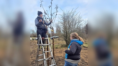 Beim Pflanzen eines Baumes: Christine Eicher (l.), die die Leitung übernommen hatte, und Antonia Riederauer, eine der Teilnehmerinnen. (Foto: Gemeinde Gilching)