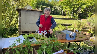 Beim Pflanzenverkauf: Heidi Schmidt, Vorsitzende des Obst- und Gartenbauvereins Hochstadt. (Foto: OGV)