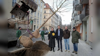 Bürgermeister Dominik Krause, Baureferentin Dr.-Ing. Jeanne-Marie Ehbauer, Boris Schwartz (Referat für Klima- und Umweltschutz) und der Vorsitzende des Bezirksausschusses für die Ludwigsvorstadt und Isarvorstadt, Benoît Blaser, haben die Pflanzung des ersten von sieben neuen Straßenbäumen in der Arndtstraße begleitet. (Foto: Leonhard Simon)
