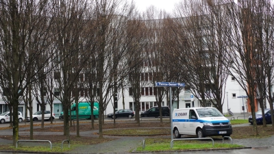 Die Bäume am Therese-Danner-Platz sollen gepflegt oder, falls dies nicht mehr gut möglich ist, ersetzt werden, so der Vorschlag der FDP im Bezirksausschuss. (Foto: Beatrix Köber)