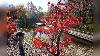 Gertrud Fassnacht führt in die japanische Betrachtungsweise des Herbstes ein. (Foto: Gertrud Fassnacht )